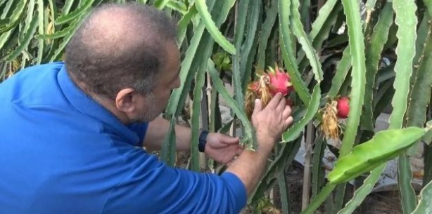 Foto - Denemek için bir tane aldı: Sonuçlarına kendi bile inanamadı