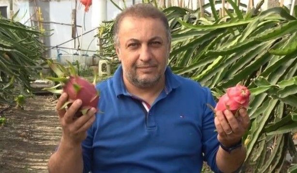 Foto - Denemek için bir tane aldı: Sonuçlarına kendi bile inanamadı