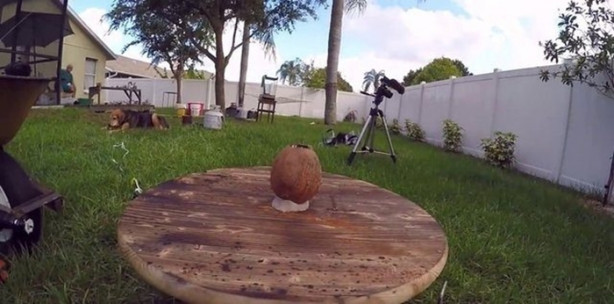 Foto - Deneyin sonucu herkesi hayrete düşürdü!