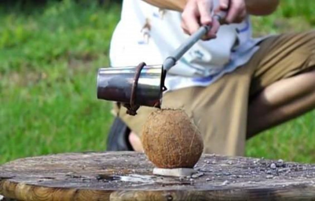 Foto - Deneyin sonucu herkesi hayrete düşürdü!