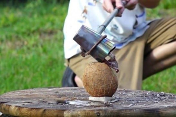 Foto - Deneyin sonucu herkesi hayrete düşürdü!