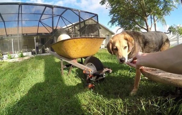 Foto - Deneyin sonucu herkesi hayrete düşürdü!