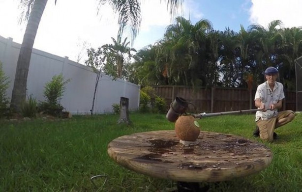 Foto - Deneyin sonucu herkesi hayrete düşürdü!