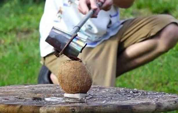 Foto - Deneyin sonucu herkesi hayrete düşürdü!