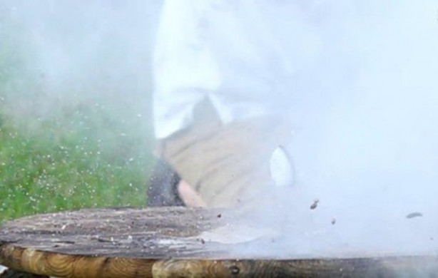 Foto - Deneyin sonucu herkesi hayrete düşürdü!