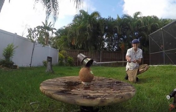 Foto - Deneyin sonucu herkesi hayrete düşürdü!