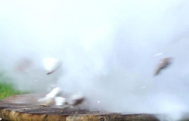 Foto - Deneyin sonucu herkesi hayrete düşürdü!