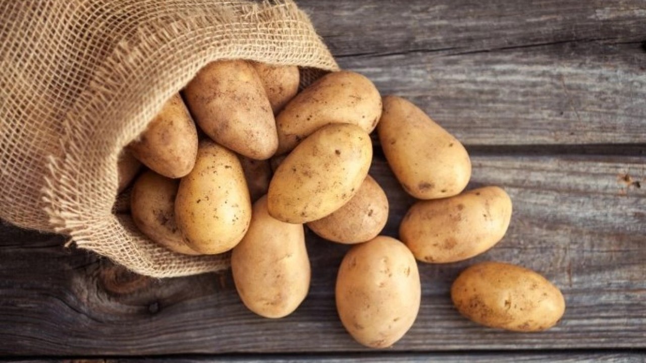 Foto - Deneyince farkını göreceksiniz! İşte patateslerin aylarca filizlenmeden kalmasının doğal yolu