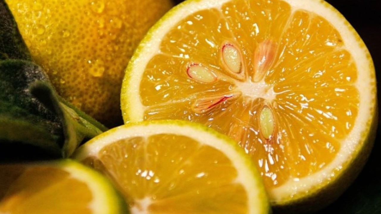 Foto - Deneyince farkını göreceksiniz! Ter kokusundan kurtulmanın doğal yolu açıklandı