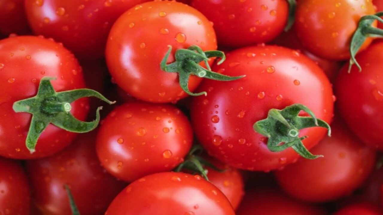 Foto - Deneyince farkını göreceksiniz! Yeşil fasulyeyi bozulmadan saklamanın doğal yolu