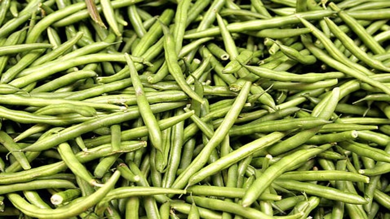 Deneyince farkını göreceksiniz! Yeşil fasulyeyi bozulmadan saklamanın doğal yolu