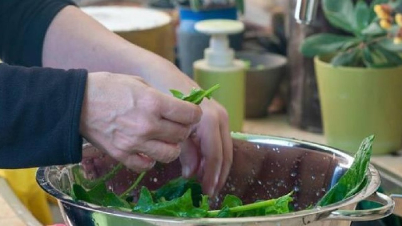 Foto - Deneyince farkını göreceksiniz! Yeşillikleri uzun süre boyunca korumanın yolu
