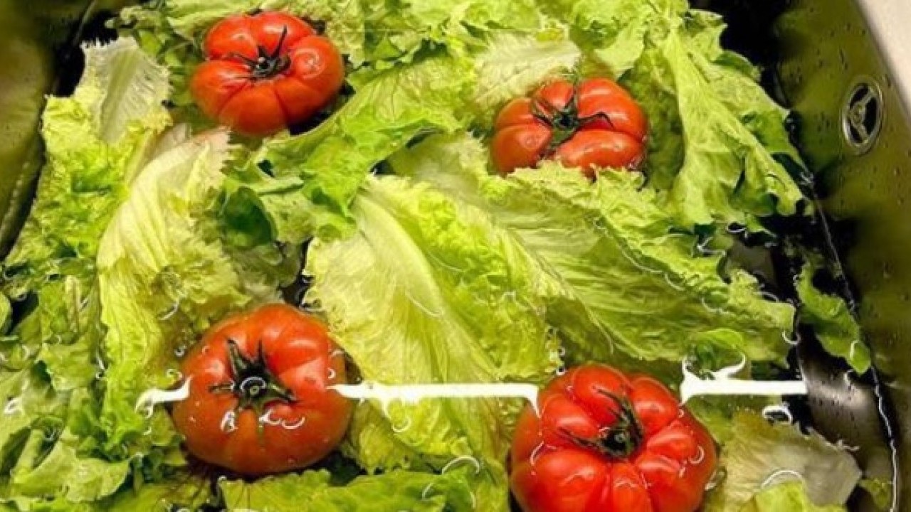 Foto - Deneyince farkını göreceksiniz! Yeşillikleri uzun süre boyunca korumanın yolu