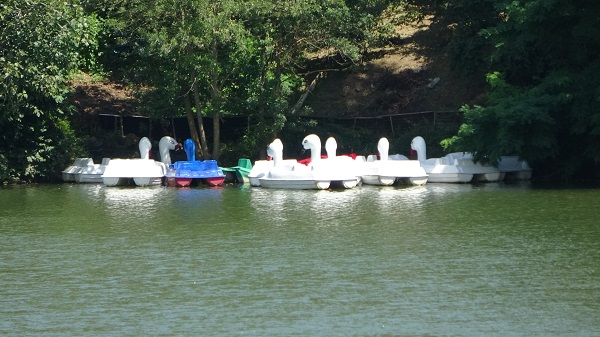 Foto - Deniz bisikletleri yasaklandı