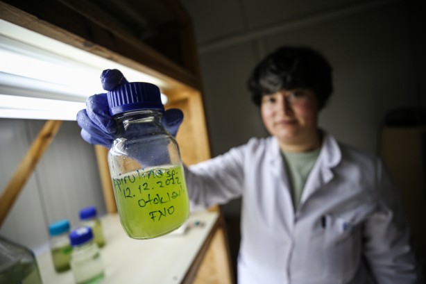 Foto - Deniz canlıları için sağlıkta devrim olacak hamle geliyor...