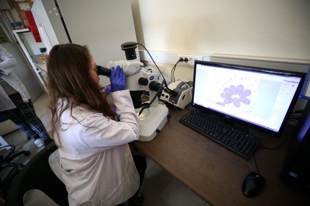 Foto - Deniz canlıları için sağlıkta devrim olacak hamle geliyor...