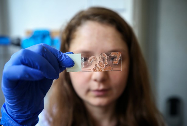 Foto - Deniz canlıları için sağlıkta devrim olacak hamle geliyor...