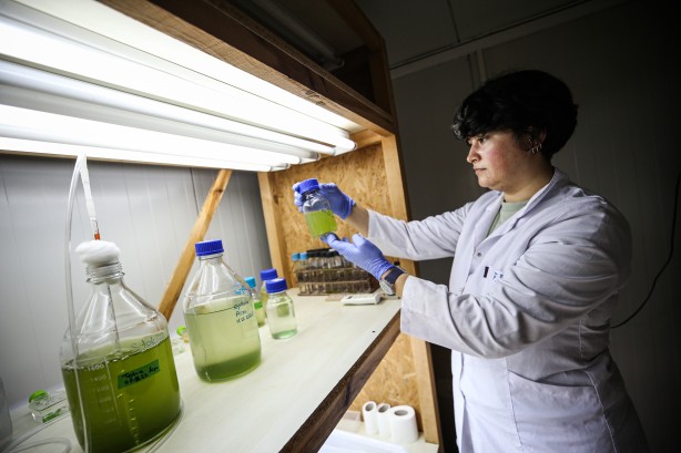 Foto - Deniz canlıları için sağlıkta devrim olacak hamle geliyor...