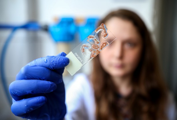 Foto - Deniz canlıları için sağlıkta devrim olacak hamle geliyor...