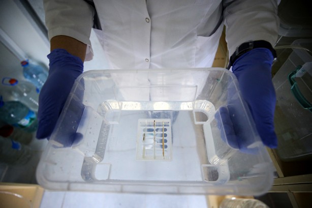 Foto - Deniz canlıları için sağlıkta devrim olacak hamle geliyor...