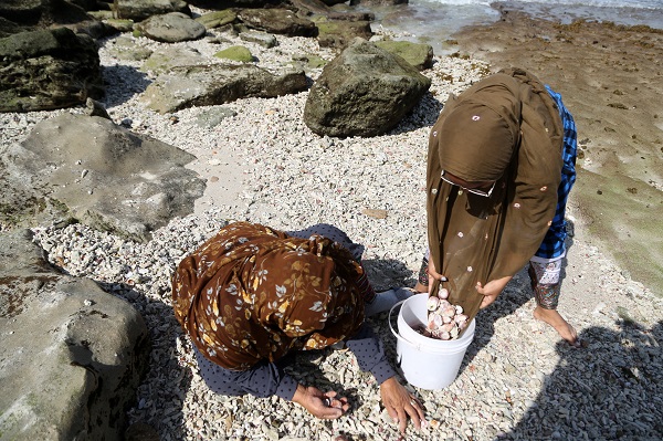 Foto - Deniz kabukları burada sanata dönüşüyor