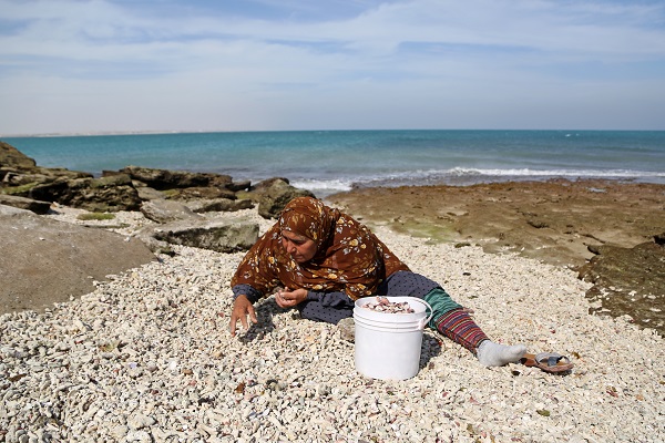 Foto - Deniz kabukları burada sanata dönüşüyor
