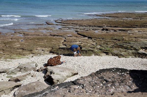 Foto - Deniz kabukları burada sanata dönüşüyor