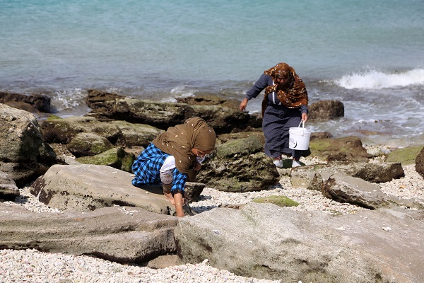 Foto - Deniz kabukları burada sanata dönüşüyor