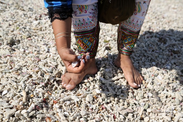 Foto - Deniz kabukları burada sanata dönüşüyor