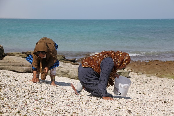 Foto - Deniz kabukları burada sanata dönüşüyor