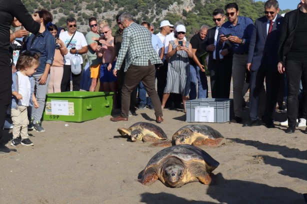 Foto - Deniz kaplumbağaları özgürlüğe kulaç attı