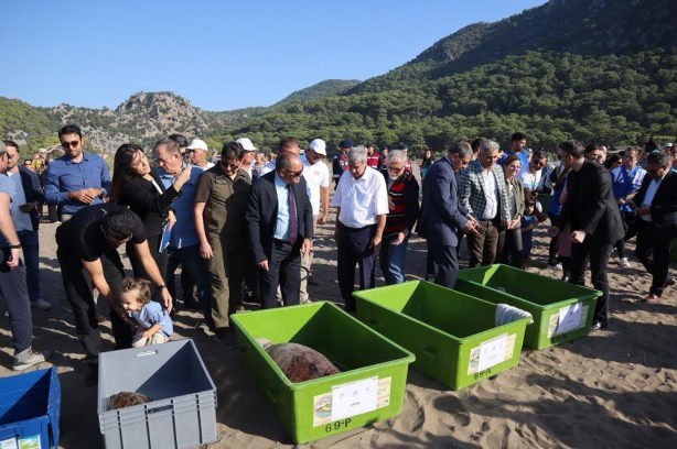 Foto - Deniz kaplumbağaları özgürlüğe kulaç attı