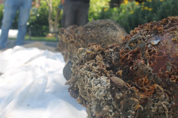 Foto - Deniz polisi Yalova açıklarında batık gemi buldu