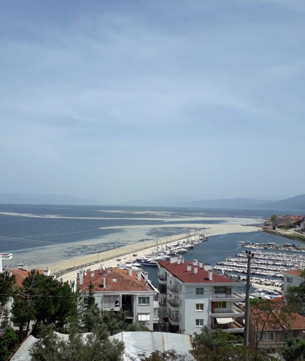 Foto - Deniz salyası Mudanya sahilini de kapladı