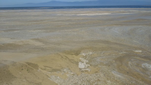 Foto - Deniz salyası Mudanya sahilini de kapladı