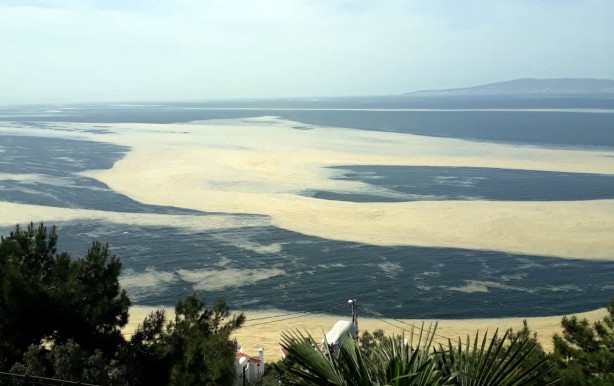 Deniz salyası Mudanya sahilini de kapladı