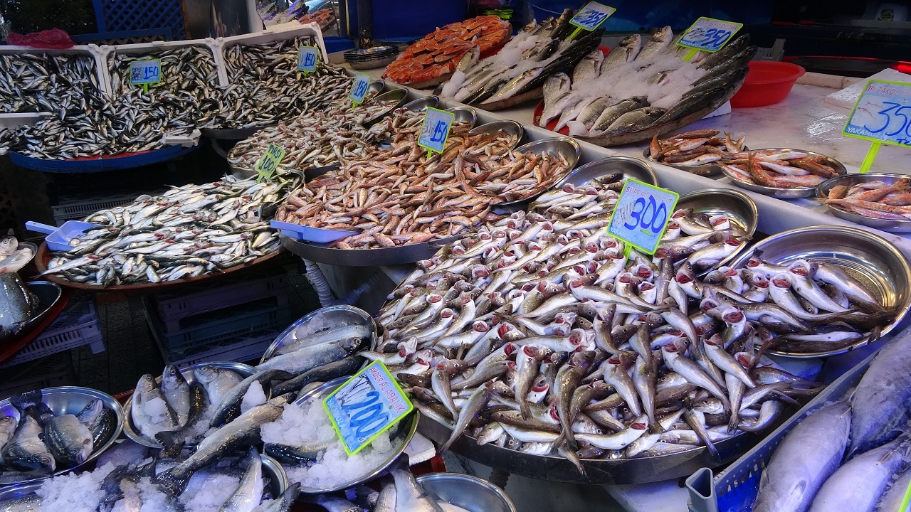 Foto - Deniz sıcaklığı balıkları vurdu! Hamsi cep yakıyor