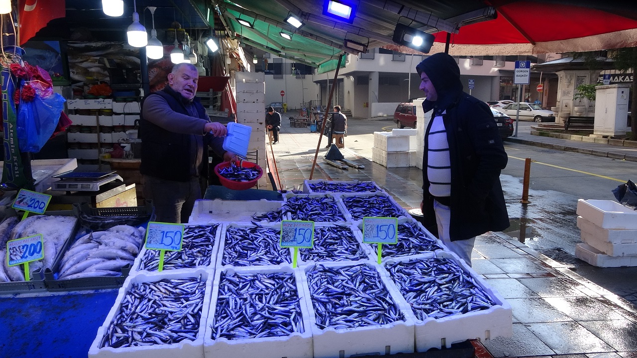 Foto - Deniz sıcaklığı balıkları vurdu! Hamsi cep yakıyor