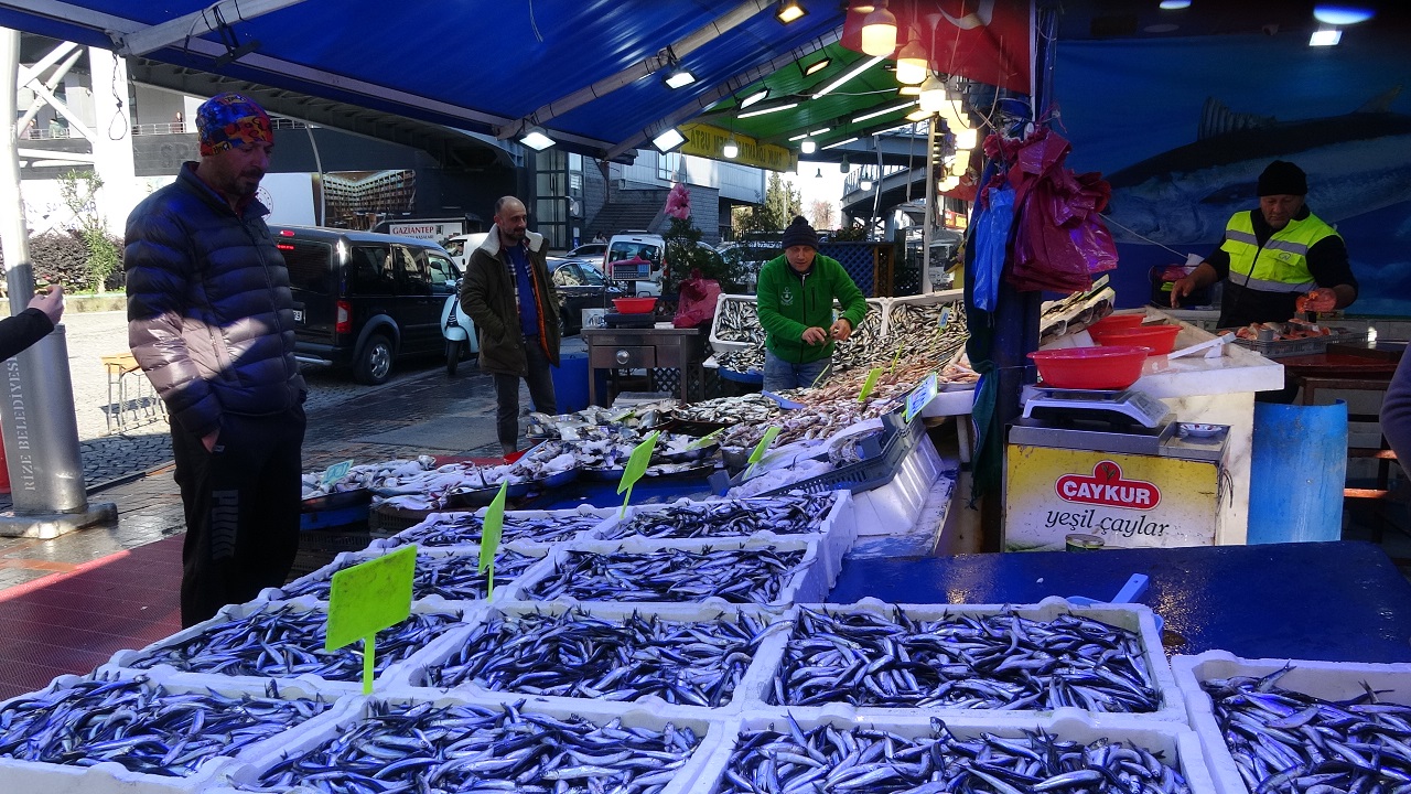 Foto - Deniz sıcaklığı balıkları vurdu! Hamsi cep yakıyor