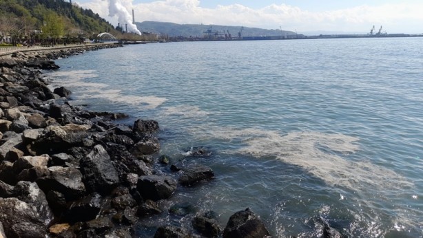 Deniz üzerinde tabaka oluştu! Müsilaj zannedildi