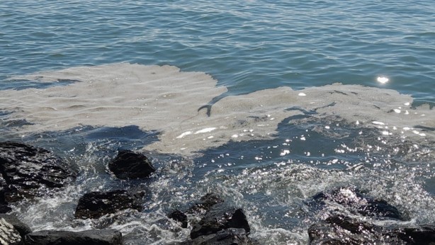 Foto - Deniz üzerinde tabaka oluştu! Müsilaj zannedildi