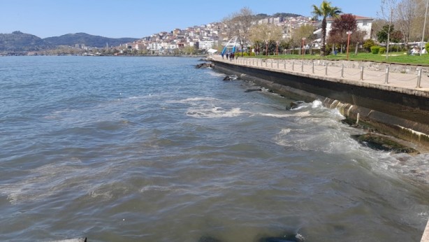 Foto - Deniz üzerinde tabaka oluştu! Müsilaj zannedildi