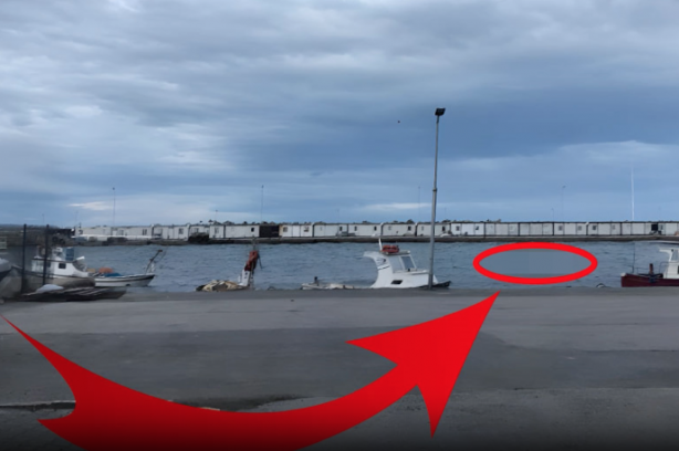 Denizde bir anda ortaya çıktılar! Görenler telefona sarıldı! O ilimizde böylesi ilk kez yaşandı