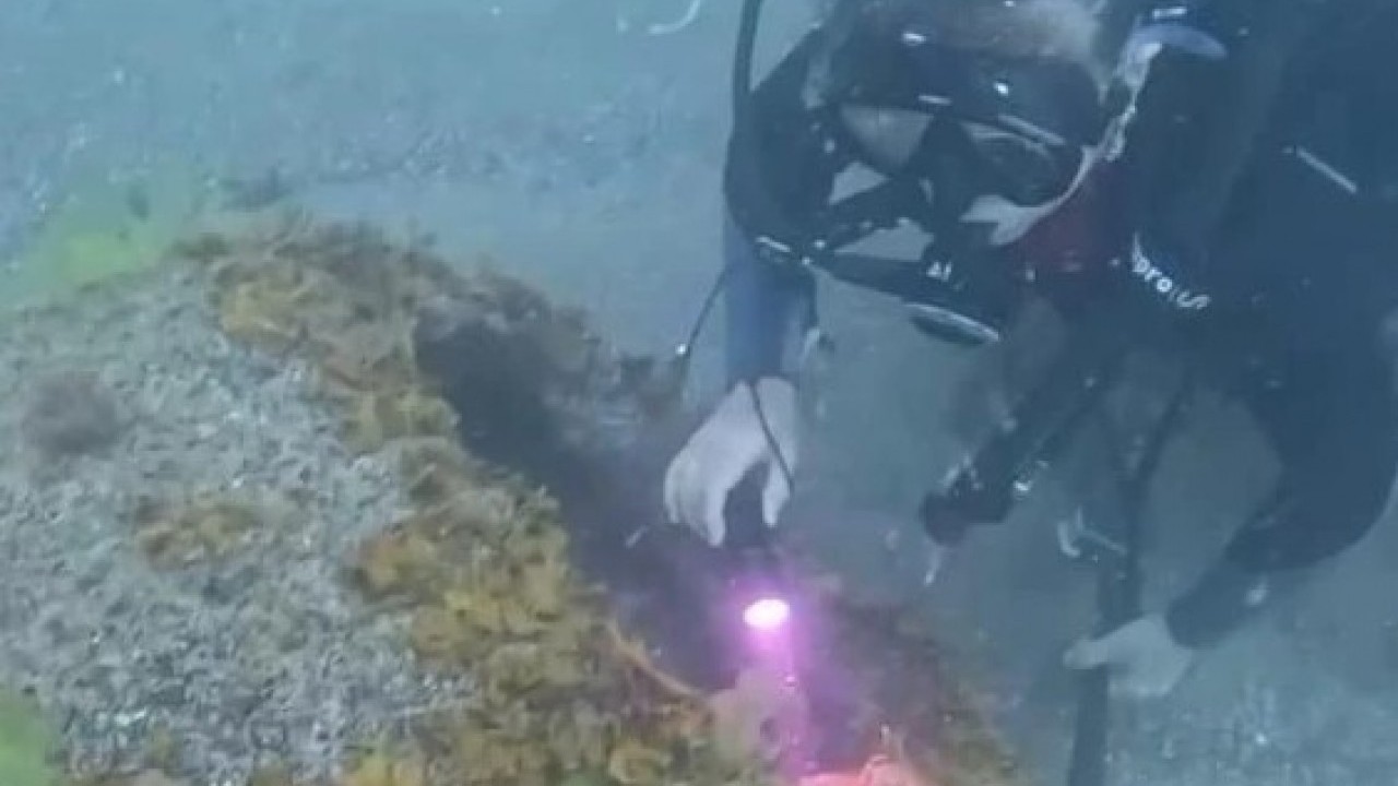 Foto - Denizde bir cisim bulundu! O ilimizde yüzmek yasaklandı! SAS komandoları bölgeye gönderildi