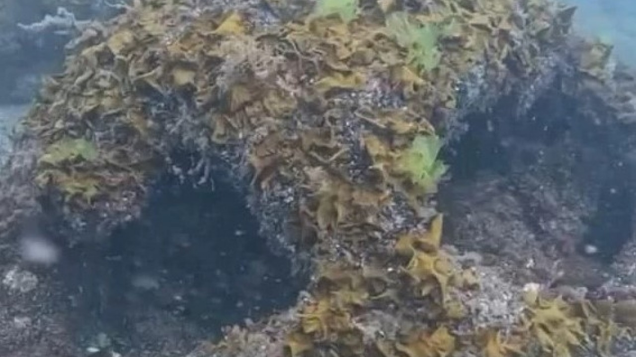 Foto - Denizde bir cisim bulundu! O ilimizde yüzmek yasaklandı! SAS komandoları bölgeye gönderildi