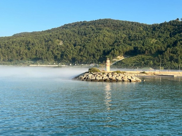 Foto - Denizde ilginç anlar! Görenler telefona sarıldı