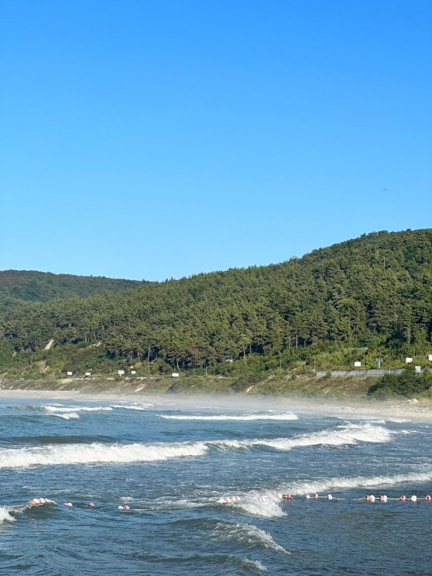 Foto - Denizde ilginç anlar! Görenler telefona sarıldı