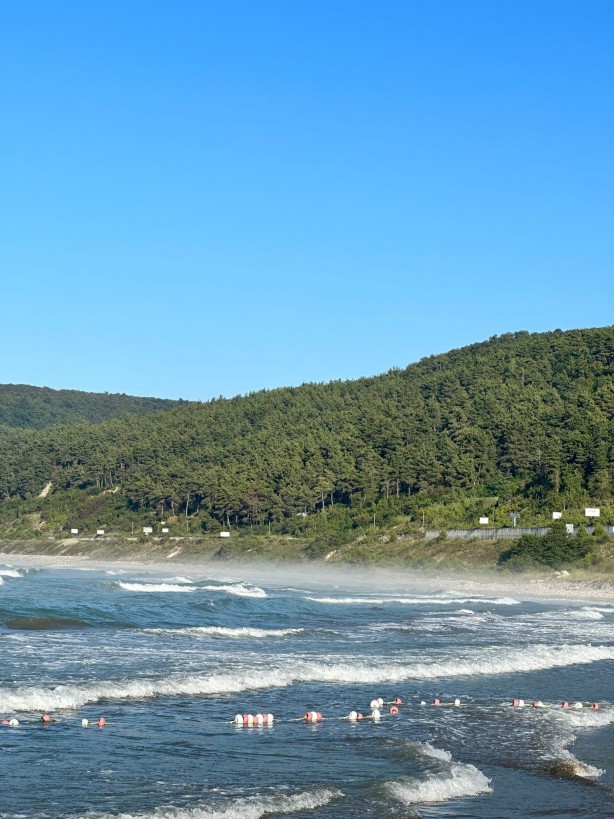 Foto - Denizde ilginç anlar! Görenler telefona sarıldı