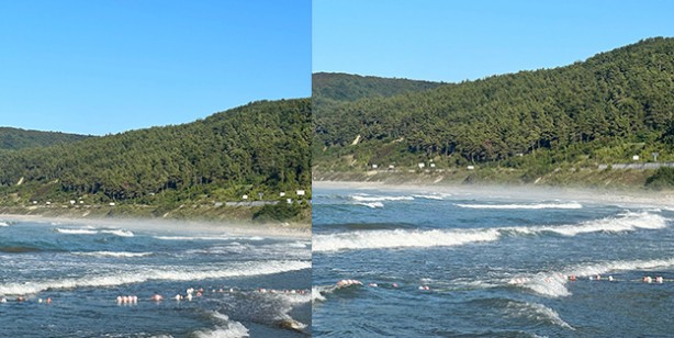 Denizde ilginç anlar! Görenler telefona sarıldı