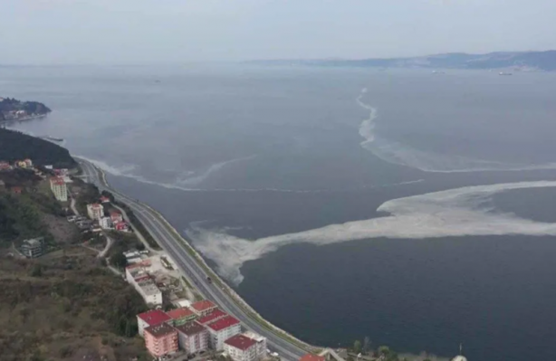 Foto - Denizde korkutan görüntünün nedeni belli oldu